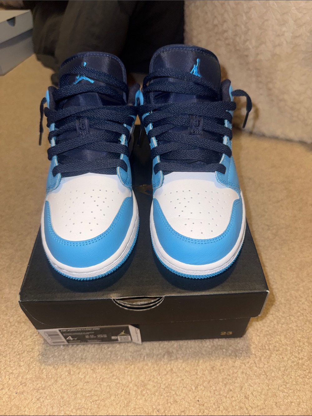 Jordan Low Top Sneakers in White and University Blue